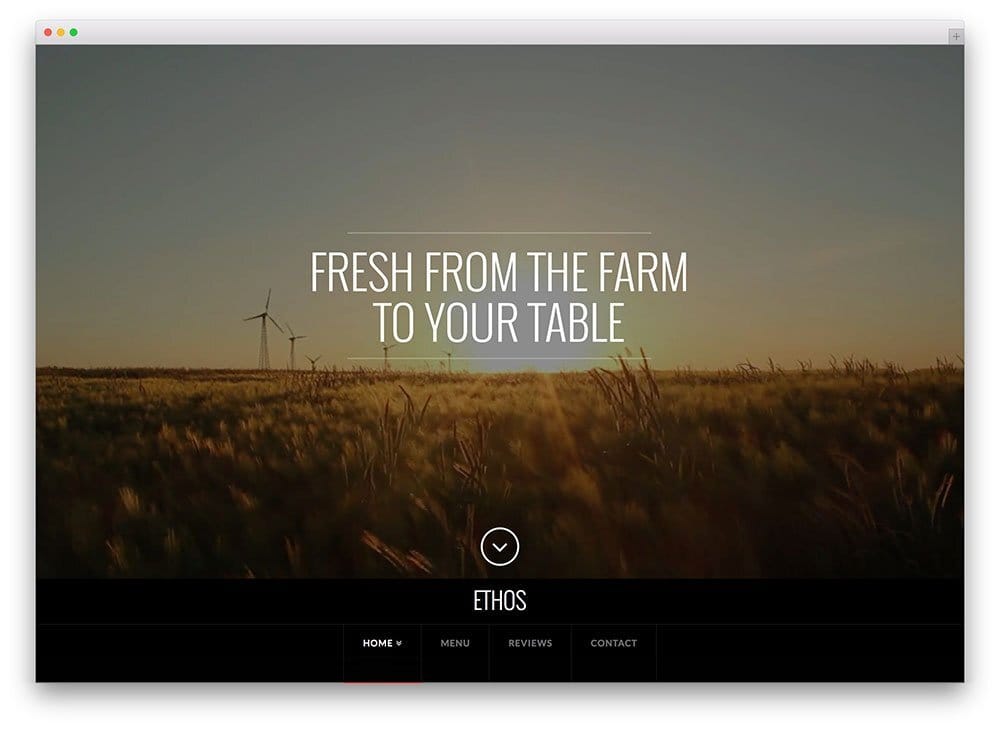 x-theme-fullscreen-multiupurpose-theme