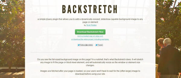 Backstretch