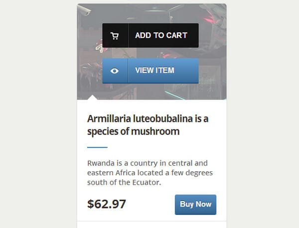 Create an E-Commerce Web Element with CSS3