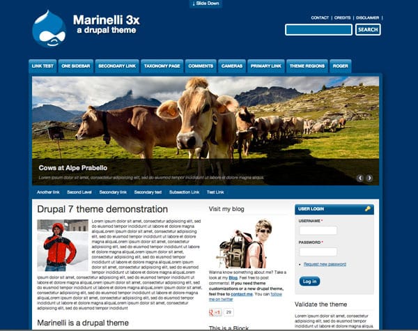 Marinelli